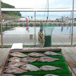 海の釣堀 海恵 釣果
