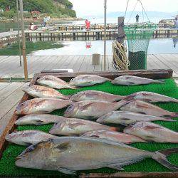 海の釣堀 海恵 釣果
