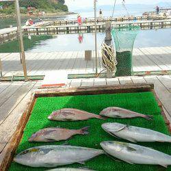 海の釣堀 海恵 釣果