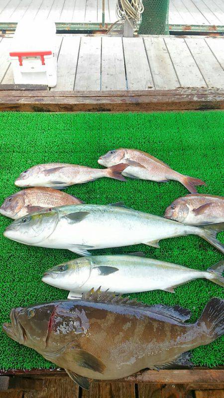 海の釣堀 海恵 釣果