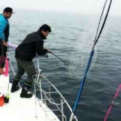 海友丸 釣果