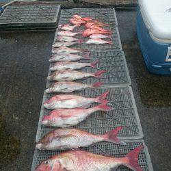 ARCADIAⅡ (アルカディアⅡ) 釣果