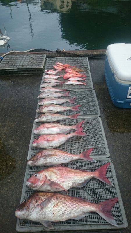 ARCADIAⅡ (アルカディアⅡ) 釣果