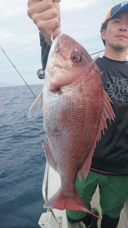 ARCADIAⅡ （アルカディアⅡ） 釣果…