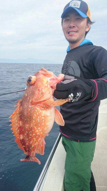 ARCADIAⅡ (アルカディアⅡ) 釣果