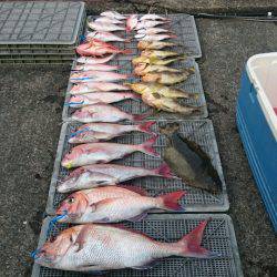 ARCADIAⅡ (アルカディアⅡ) 釣果