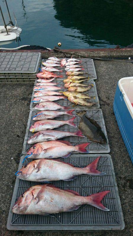 ARCADIAⅡ (アルカディアⅡ) 釣果