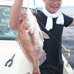 ARCADIAⅡ (アルカディアⅡ) 釣果