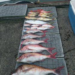 ARCADIAⅡ (アルカディアⅡ) 釣果