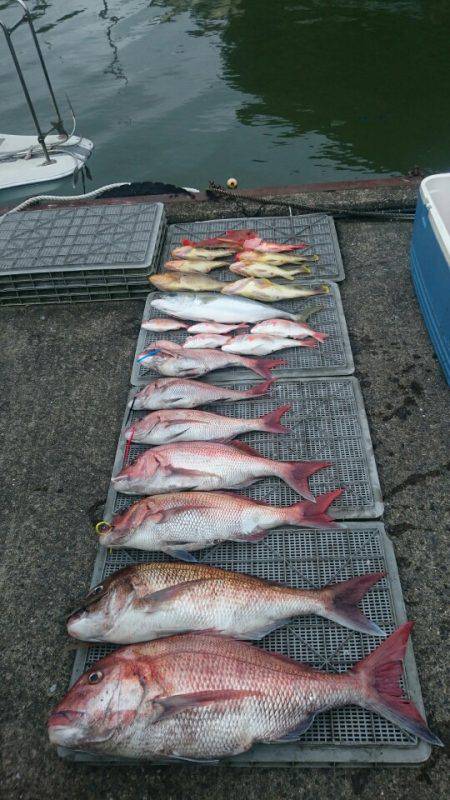 ARCADIAⅡ (アルカディアⅡ) 釣果