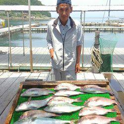 海の釣堀 海恵 釣果