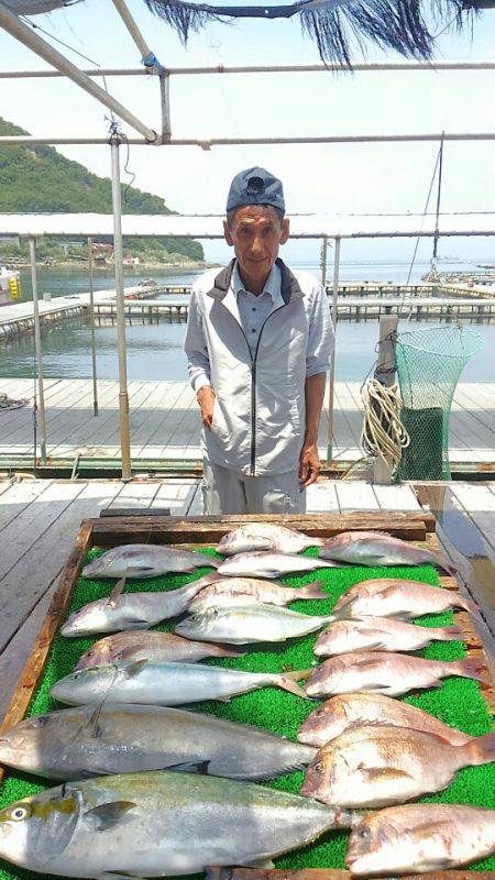 海の釣堀 海恵 釣果