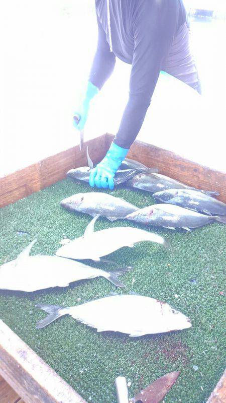 海の釣堀 海恵 釣果