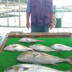 海の釣堀 海恵 釣果