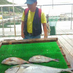 海の釣堀 海恵 釣果