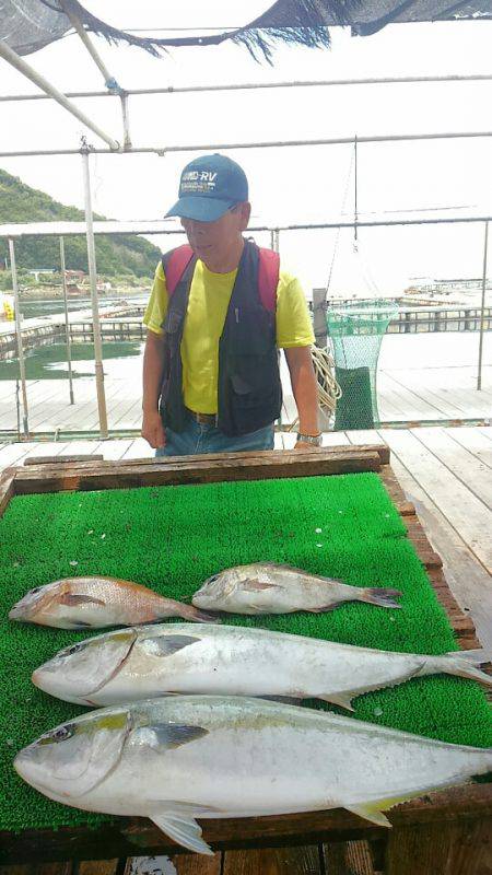 海の釣堀 海恵 釣果