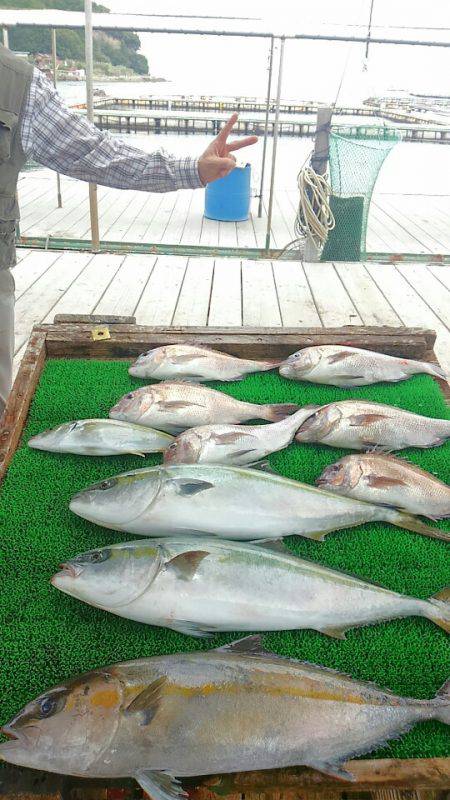 海の釣堀 海恵 釣果