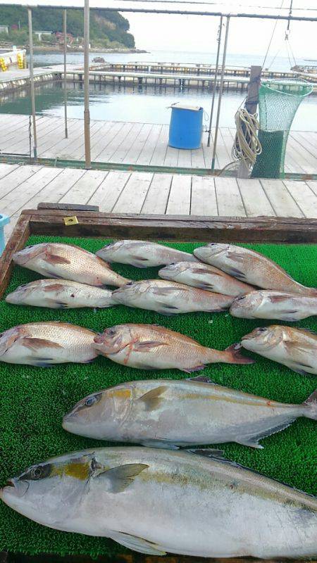 海の釣堀 海恵 釣果