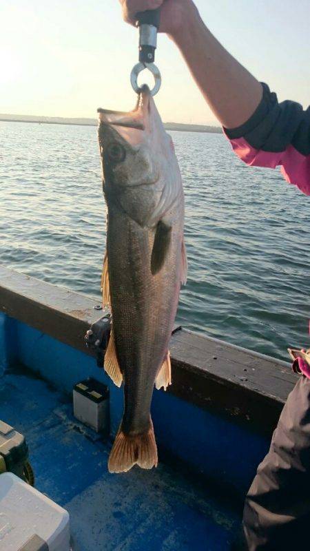海龍丸（石川） 釣果