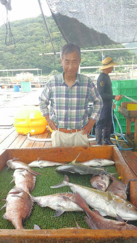 海の釣堀 海恵 釣果