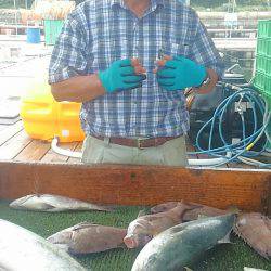 海の釣堀 海恵 釣果