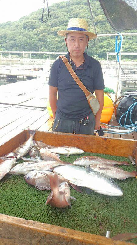 海の釣堀 海恵 釣果