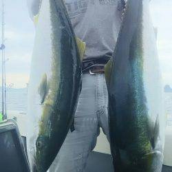 サンマリン 釣果