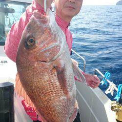 ARCADIAⅡ (アルカディアⅡ) 釣果