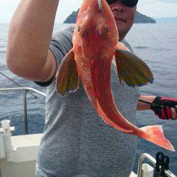 ARCADIAⅡ (アルカディアⅡ) 釣果