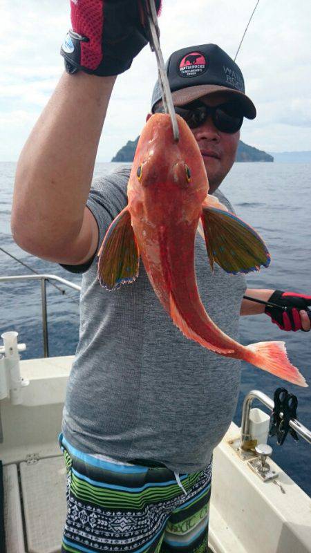 ARCADIAⅡ (アルカディアⅡ) 釣果