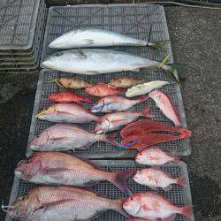 ARCADIAⅡ (アルカディアⅡ) 釣果