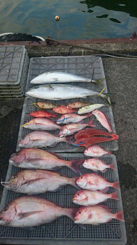 ARCADIAⅡ (アルカディアⅡ) 釣果