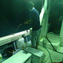 あみや渡船 JIGBOY 釣果