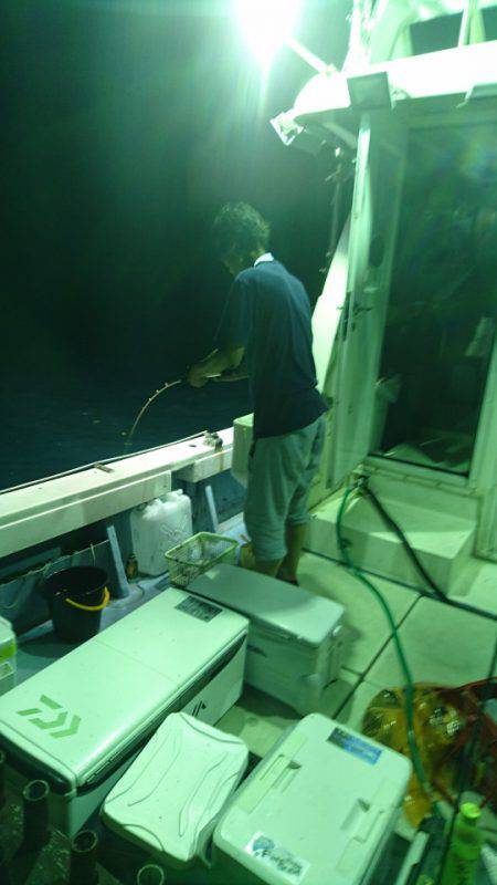 あみや渡船 JIGBOY 釣果