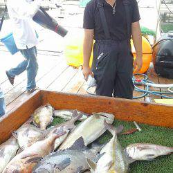 海の釣堀 海恵 釣果
