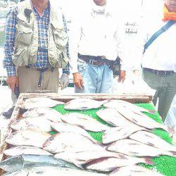 海の釣堀 海恵 釣果
