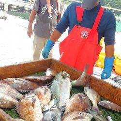 海の釣堀 海恵 釣果
