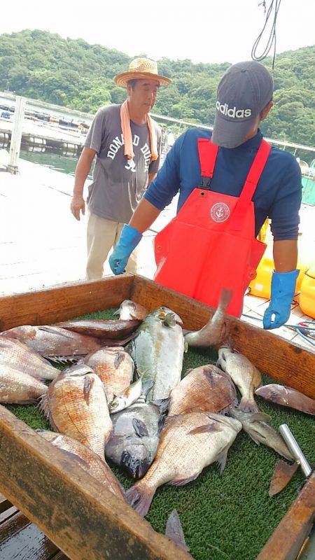 海の釣堀 海恵 釣果