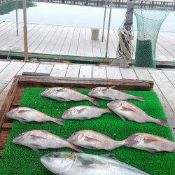 海の釣堀 海恵 釣果