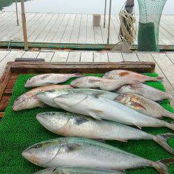 海の釣堀 海恵 釣果