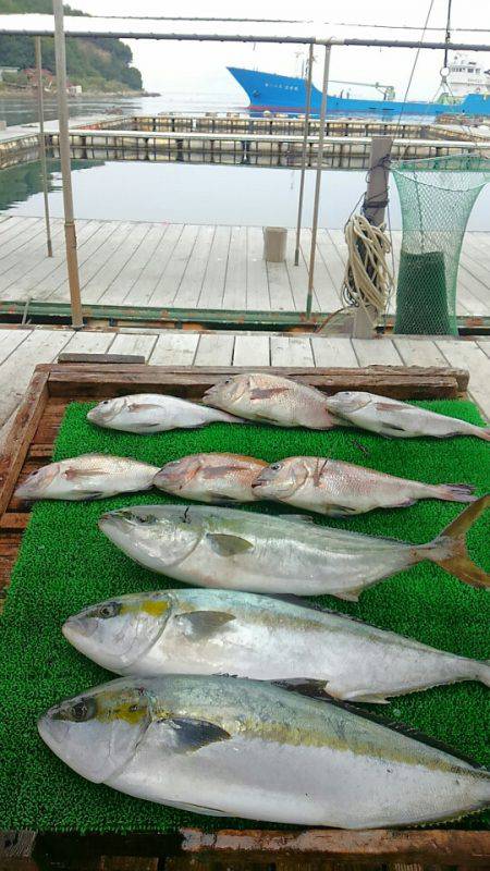 海の釣堀 海恵 釣果