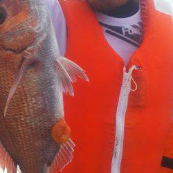 ブルドック 釣果