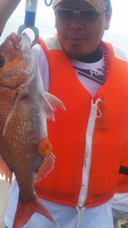 ブルドック 釣果