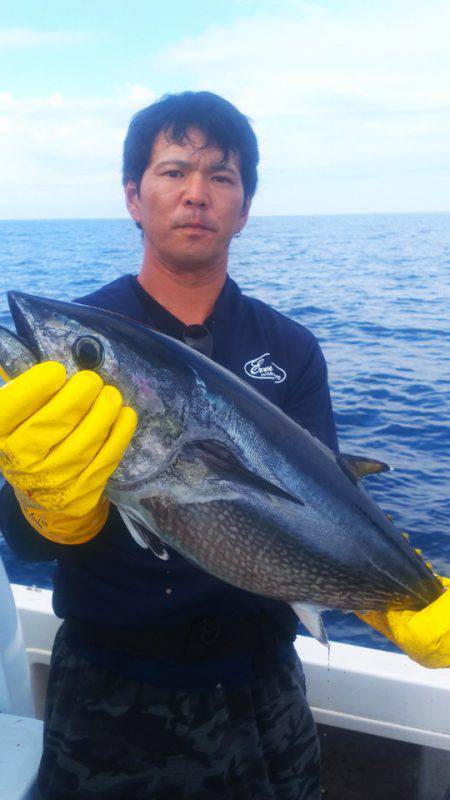 ブルドック 釣果