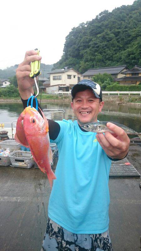 ARCADIAⅡ (アルカディアⅡ) 釣果