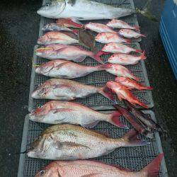 ARCADIAⅡ (アルカディアⅡ) 釣果