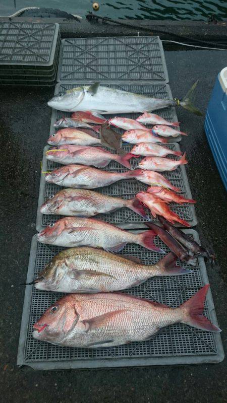 ARCADIAⅡ （アルカディアⅡ） 釣果…