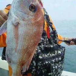 サンマリン 釣果