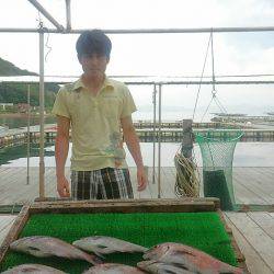 海の釣堀 海恵 釣果