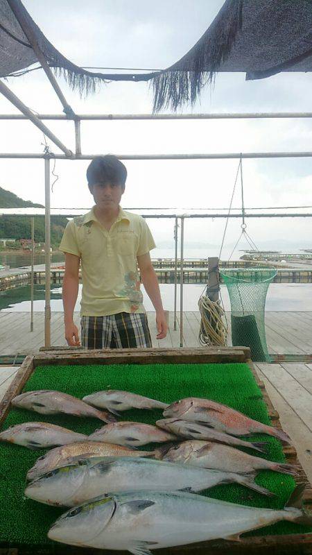 海の釣堀 海恵 釣果